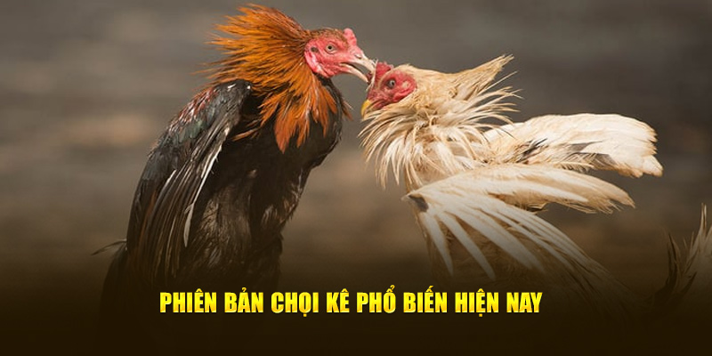 Phiên bản chọi kê phổ biến hiện nay